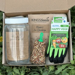 Little Gardeners Get Growing Kit - Flowers 7 Little Gardeners Get Growing Kit - Flowers -Kingsseeds Store 11 6c300b4c af3b 4d61 b1fd 59a622a88280