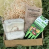 Little Gardeners Vege Garden Kit 1 Little Gardeners Vege Garden Kit -Kingsseeds Store 12 de0a8e5d ce0f 4e82 b29d a69f08505799