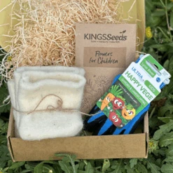 Little Gardeners Flower Garden Kit