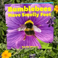 Bumblebees Have Smelly Feet