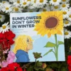 Sunflowers Don't Grow In Winter 1 Sunflowers Don't Grow In Winter -Kingsseeds Store 4 1c3d74d6 78d4 479d 84e9 7a1c9afb1dd9