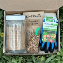 Little Gardeners Get Growing Kit - Vegetables -Kingsseeds Store 6 23febfb8 023b 4338 8b22 5963d0556dbb