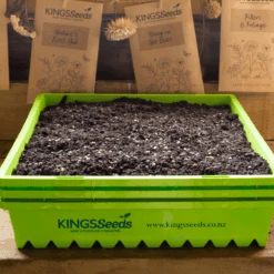 Propagation Tray -Kingsseeds Store A0001 2