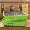 Propagation Tray 2 Propagation Tray -Kingsseeds Store A0001 57e7ad91 ed19 497c a88b 34fd95de59e8