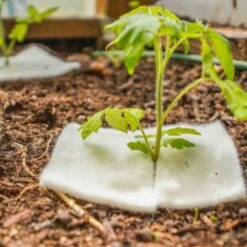 Wool Mulch Mat (10 Pk)