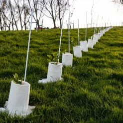 Wool Tree Guard -Kingsseeds Store A0005 4