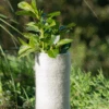Wool Tree Guard -Kingsseeds Store A0005 5