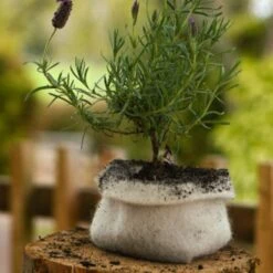 Wool Grow Bags 1L -Kingsseeds Store A0007 3