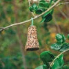 Wild Bird Seed Bell 2 Wild Bird Seed Bell -Kingsseeds Store A0014 1 659a4ed6 b593 47c8 99e2 c1d7ddde2e6e