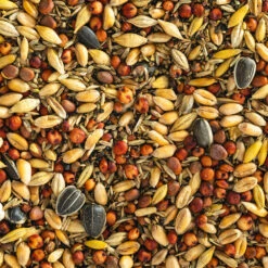 Wild Bird Seed Mix (Coarse)