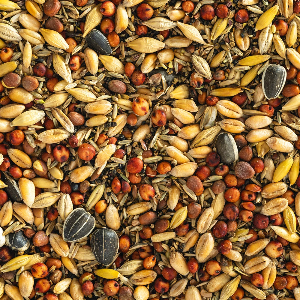 Wild Bird Seed Mix (Coarse) 3 Wild Bird Seed Mix (Coarse)