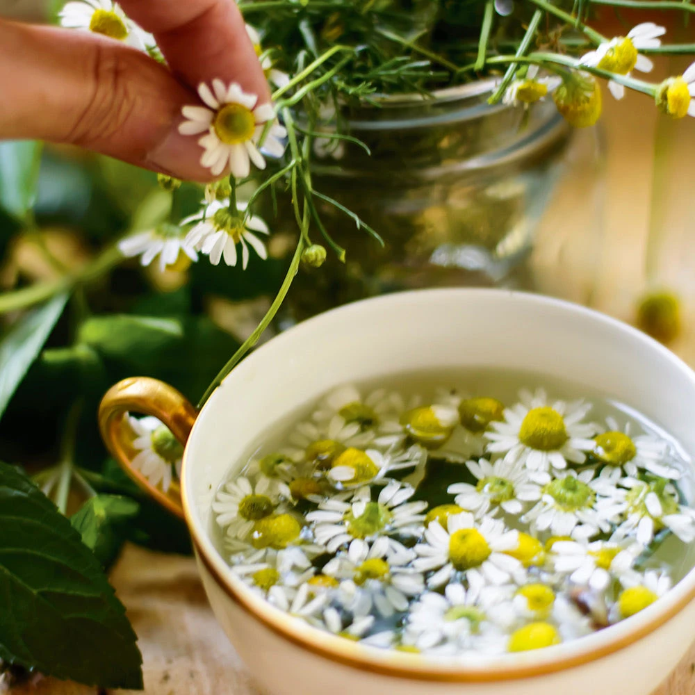 Relaxing Herbal Teas 3 Relaxing Herbal Teas