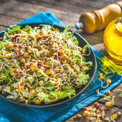 Organic Superfood Sprouts