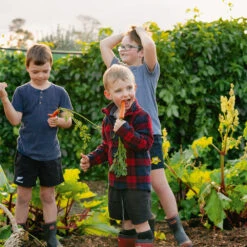 Vegetables For Children