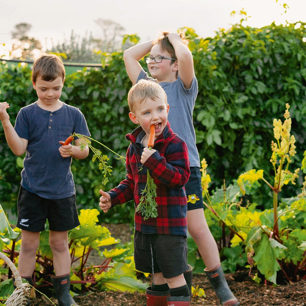 Vegetables For Children 3 Vegetables For Children
