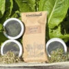 Organic Sprouting Kit 2 Organic Sprouting Kit -Kingsseeds Store C0534 b42be4d0 5c0b 4340 87af 3f8adcb4873e