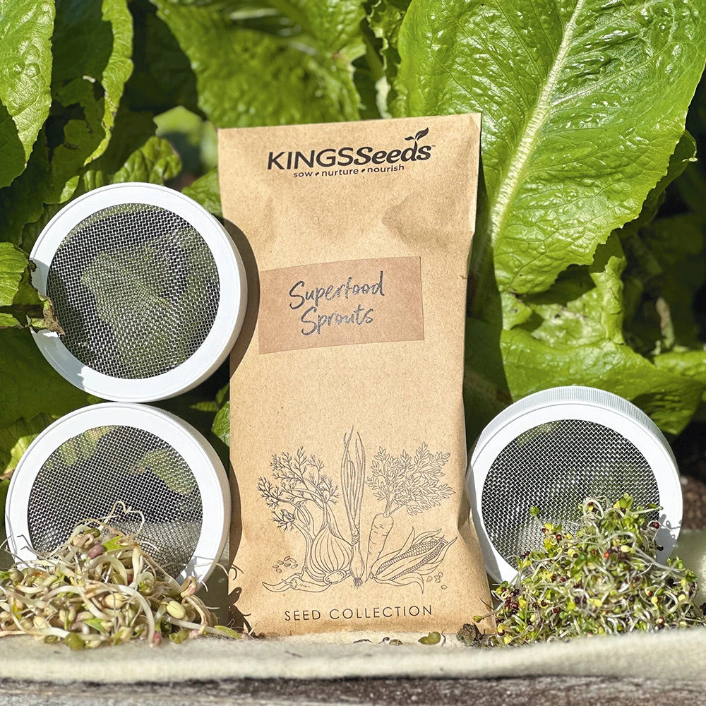 Organic Sprouting Kit 3 Organic Sprouting Kit