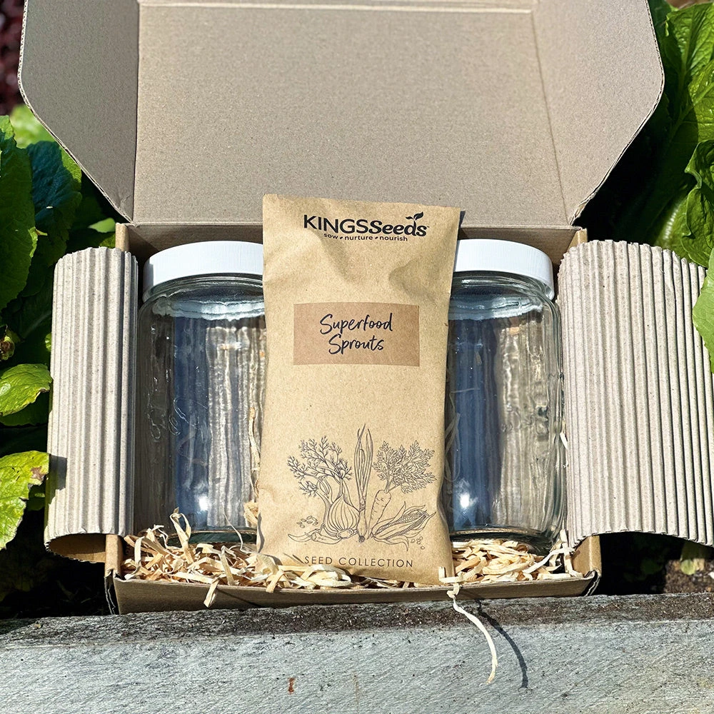 Organic Sprouting Starter Kit 3 Organic Sprouting Starter Kit