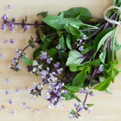 Herbs For Bouquets