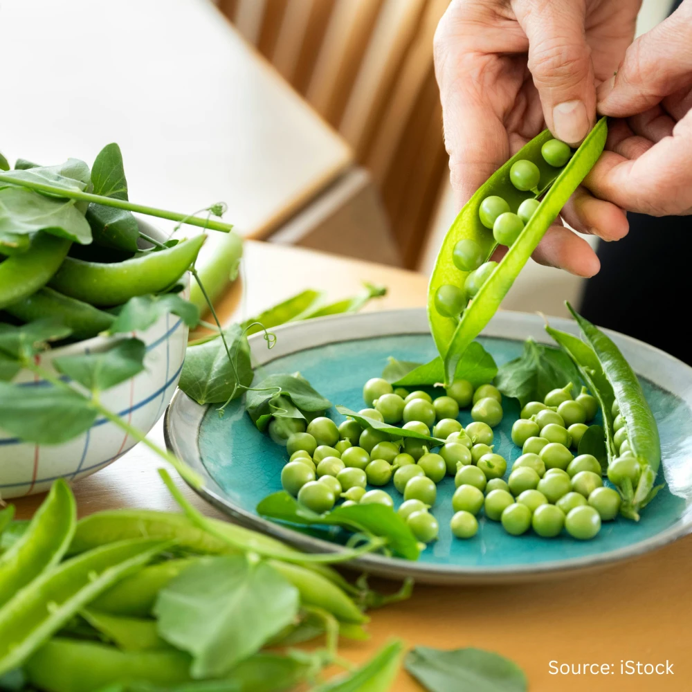 Best Of Beans & Peas 3 Best Of Beans & Peas