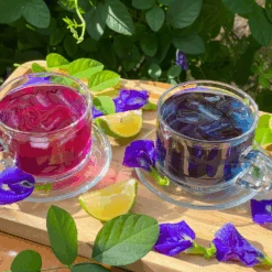 Butterfly Pea -Kingsseeds Store F1050 5