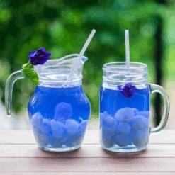 Butterfly Pea -Kingsseeds Store F1050 6