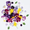 Viola Edible Flower Mix -Kingsseeds Store F1301 1 97f68b7a d020 4772 b1f7 b3a863ff918b