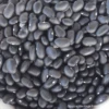 Bean Dwarf Colombian Black -Kingsseeds Store HFC006 1 488c6cd3 40b7 4da8 951f 3a627f517b63
