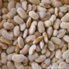 Bean Runner Hopi Beige -Kingsseeds Store HFC011 1 c85569da 2d92 41de 85c7 542e13fb68a5