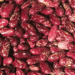 Bean Dwarf Tuscarora Bread