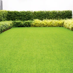 Superfine Lawn