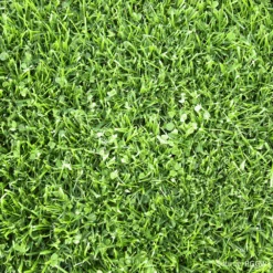 Pipolina Microclover®