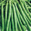 Organic Bean Runner Cobra -Kingsseeds Store O6003 1 3f191879 613d 42dc 8abe b96e6caac8a6