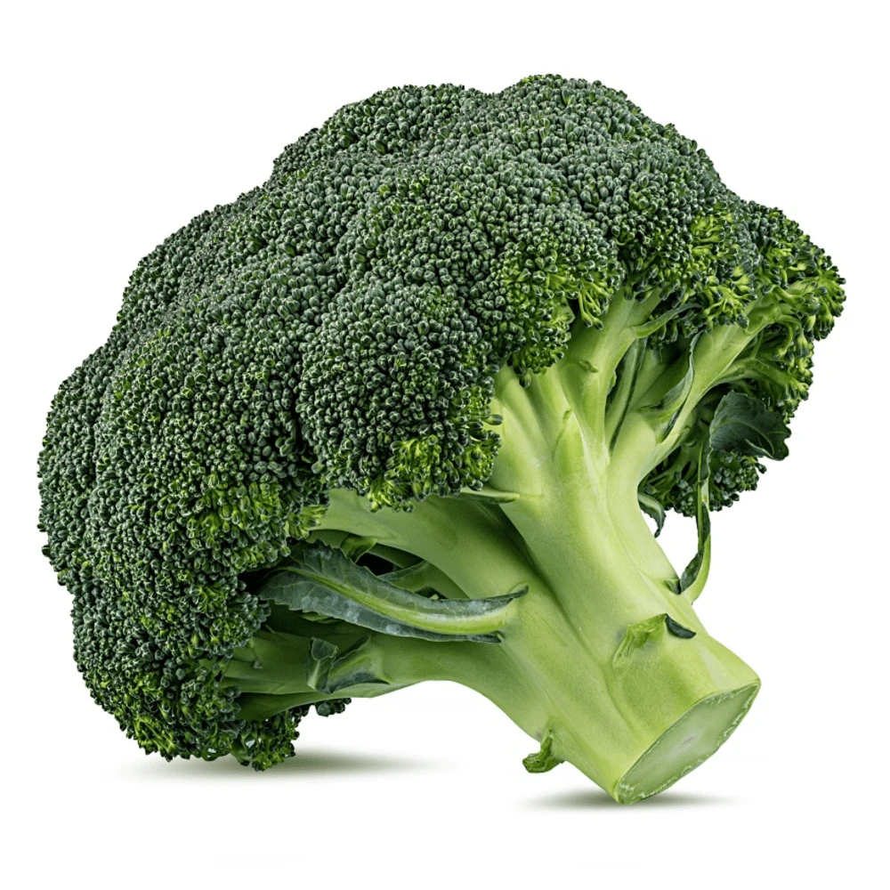Organic Broccoli Belstar F1 4 Organic Broccoli Belstar F1 - Image 2