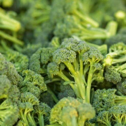 Organic Broccoli Waltham