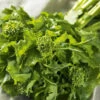 Organic Broccoli Raab Spring Rapini 1 Organic Broccoli Raab Spring Rapini -Kingsseeds Store O6008 1 169932ae 7ff0 46cc 8a03 1baf961ced75