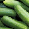 Organic Cucumber Marketmore -Kingsseeds Store O6025 1 0813429f ae56 4305 ad61 22ba76df122f