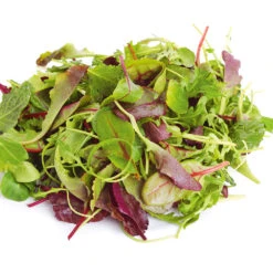 Organic Mesclun
