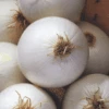 Organic Onion Walla Walla 2 Organic Onion Walla Walla -Kingsseeds Store O6050 1