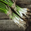 Organic Spring Onion Tokyo Long White 1 Organic Spring Onion Tokyo Long White -Kingsseeds Store O6051 2