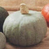 Organic Squash Winter Sweet F1 -Kingsseeds Store O6059 1 42d56a14 c600 4259 b543 7264c60c8a17