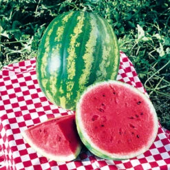 Organic Watermelon Crimson Sweet
