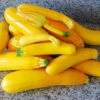 Organic Zucchini Summer Gold 1 Organic Zucchini Summer Gold -Kingsseeds Store O6082 1 3b596660 1bf3 4edd 9341 06ecd30938e9