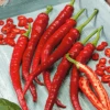 Organic Chilli Cayenne Red -Kingsseeds Store O6094 1