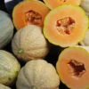 Organic Melon Pride Of Wisconsin 1 Organic Melon Pride Of Wisconsin -Kingsseeds Store O6097 1 10e7b11b f33f 4f75 86fd 1d51731ad285