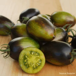 Organic Tomato Brad's Atomic Grape