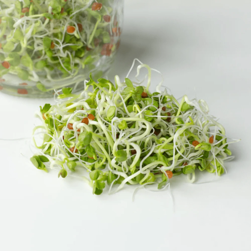 Organic Radish Daikon 5 Organic Radish Daikon - Image 3