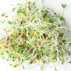 Organic Extra Energy