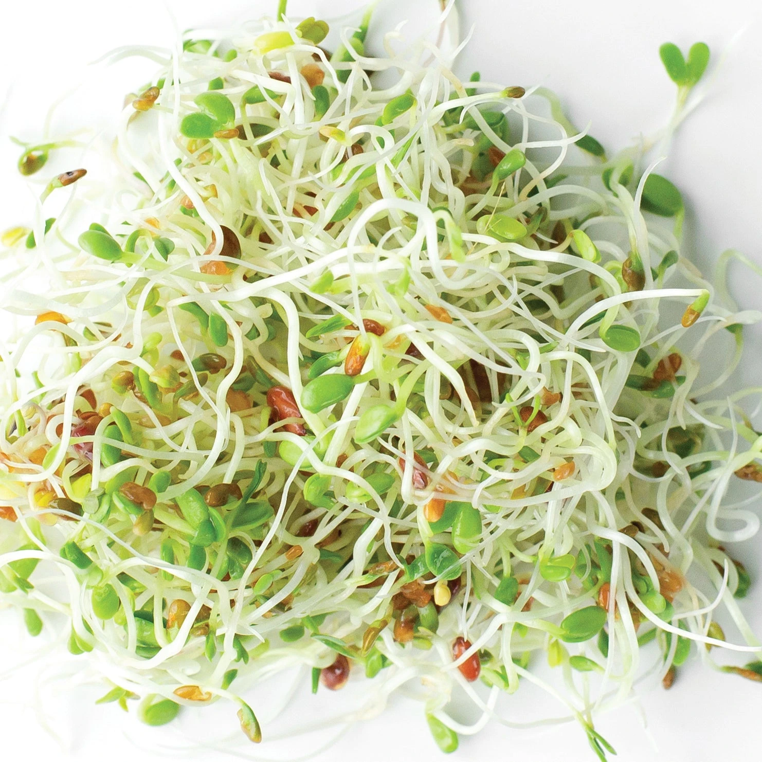 Organic Extra Energy 3 Organic Extra Energy