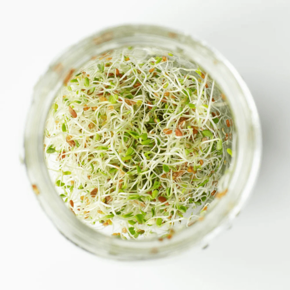 Organic Extra Energy 5 Organic Extra Energy - Image 3